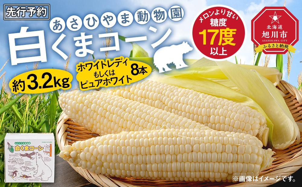 
            【先行予約】あさひやま動物園しろくまコーン約3.2kg(ホワイトレディもしくはピュアホワイト8本)2025年8月下旬～発送開始予定 【 とうもろこし 人気 北海道 糖度 野菜 白いとうもろこし 白いスイートコーン 産地直送 ホワイトレディ コーン 玉蜀黍 旬 お取り寄せ 旭川市 北海道 】　_03811
          