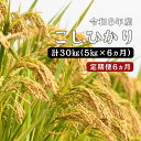 【ふるさと納税】令和6年産 ／お米定期便／6ヵ月　しまね川本 こしひかり 5kg (計30kg） 島根県 川本町産 藤屋 石見米