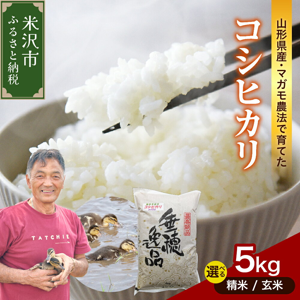 【ふるさと納税】令和8年産 コシヒカリ 5kg 選べる 精米 / 玄米 米 お米 こしひかり 白米 ごはん 2026年産 有機肥料100% 特別栽培米 農家直送 ブランド米 山形米 5キロ お取り寄せ 産地直送 国産 送料無料 東北 山形県 米沢市