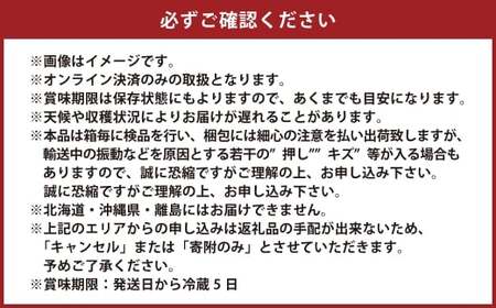 2025年 先行予約受付中 シャインマスカット晴王 1房 約650g 岡山県産 種無し 皮ごと食べる みずみずしい 甘い フレッシュ 瀬戸内 晴れの国 おかやま 果物大国 ハレノフルーツ