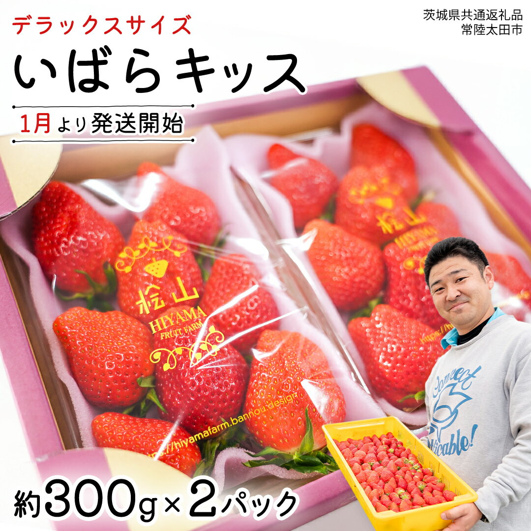 【ふるさと納税】【 先行予約 】 いちご いばらキッス ( 2パック )　特大 デラックスサイズ 【 2026年1月から発送開始 】 ( 茨城県共通返礼品 : 常陸太田市 ) 約 300g × 2 パック いばらキッス いばらきっす 数量限定 果物 くだもの フルーツ 苺 イチゴ 期間限定