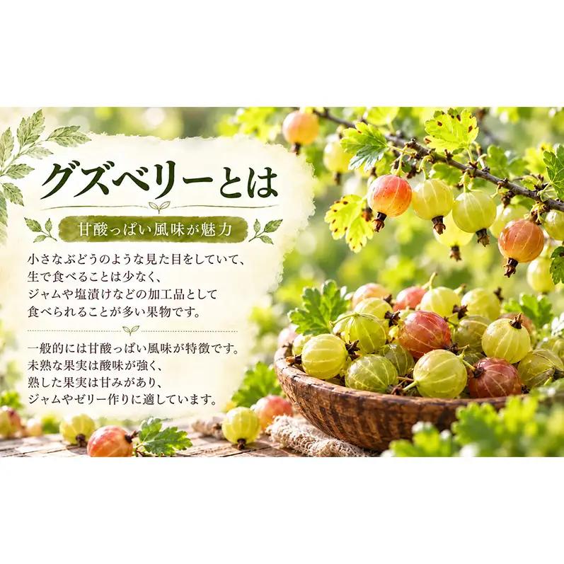 手作りジャム セット 【グズベリー】 2個 北海道 南富良野町 ジャム ベリー ソース 果実