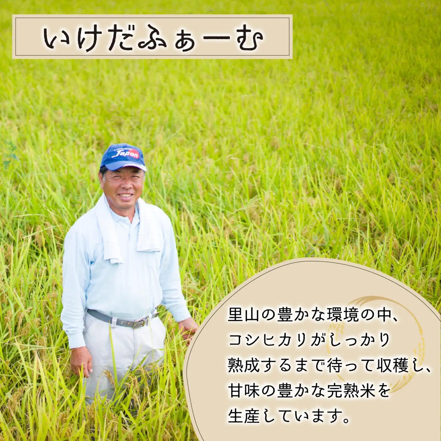 【先行予約】【令和8年産 新米】【12ヶ月定期便】くらもち完熟米 コシヒカリ 玄米 10kg（5kg×2袋）×12回　計120kg