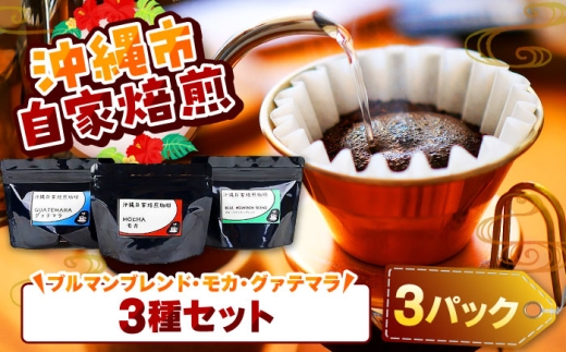 【自家焙煎】ブルマンブレンド・モカ・グァテマラの3種セット 珈琲 コーヒー コーヒー豆 ドリップ ギフト 沖縄市 / 父の日 沖縄市観光物産センター夢プラザおきなわ [BCBE008]