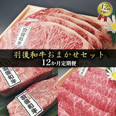 【ふるさと納税】希少部位も有り 部位・量おまかせ！羽後和牛定期便（12ヶ月） 牛肉 お肉