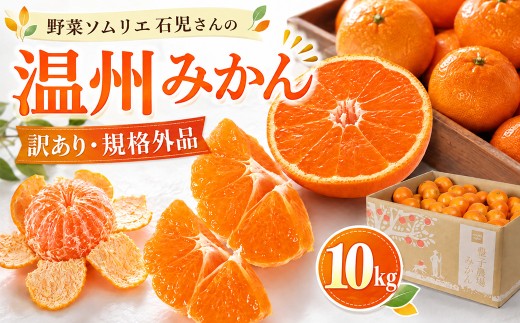 【訳あり・規格外品】野菜ソムリエ石児さんの「温州みかん 10kg」／ ミカン みかん 蜜柑 柑橘 10kg 10キロ 柑橘類 訳あり 甘い 温州みかん フルーツ 先行予約 11月 12月 1月 11月
