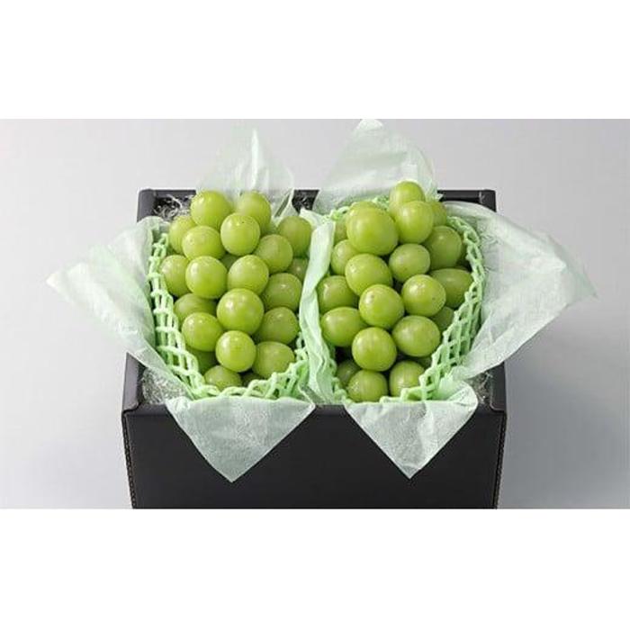 【ふるさと納税】ぶどう 2026年 農家こだわりのシャインマスカット 2房 合計約1.2kg 贈答クラス【 Nini farm 農家 直送 】 | フルーツ 果物 くだもの ぶどう ブドウ シャインマスカット 岡山県産 人気 おすすめ 送料無料 ギフト