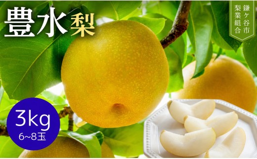【先行予約】 豊水 3kgかまがやの梨