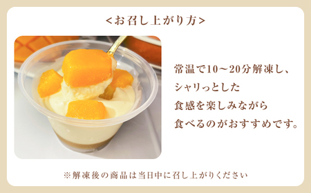 フローズン マンゴーティラミス 1箱 80g × 6個 | ポティロン株式会社 | 国産 沖縄県産 フルーツ 幻のキーツマンゴー 100% | 冷たい ティラミス チーズケーキ デザート スイーツ お