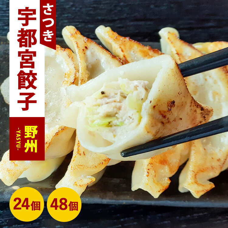 【ふるさと納税】【選べる内容量】野州餃子