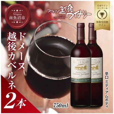 ふるさと納税 南魚沼市 ドメーヌ・越後カベルネ  赤 750ml 2本セット 越後ワイナリーの辛口、ミディアム国産ワイン