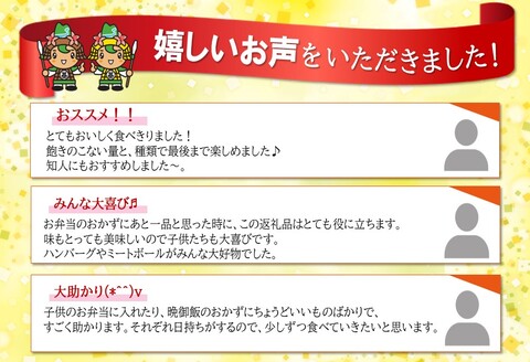 伊藤ハム 人気のお弁当のおかずバラエティ詰め合わせ【伊藤ハム 簡単 便利 レンチン 手軽 お弁当 おやつ おつまみ ハンバーグ ミートボール 単身】 A1-A021012