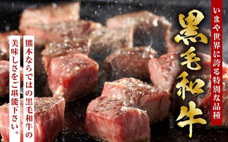 熊本県産 黒毛和牛 もも 食べ比べ セット 約1kg【九州食肉産業】牛肉 熊本 もも セット ももブロック もも薄切り もも焼き肉用 焼肉 もも焼き肉 もも焼肉 [ZDQ054]
