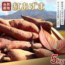 【ふるさと納税】 自然栽培 紅あずま 5kg さつまいも サツマイモ 山形県 新庄市 F3S-1944