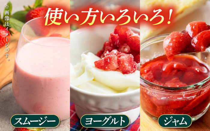 【3回定期便】【数量限定】高級 冷凍  いちご 加工用 約1kg（約500g×2袋）【伊藤農園】 恋みのり 冷凍 いちご 冷凍いちご 加工用  [ZBB015]