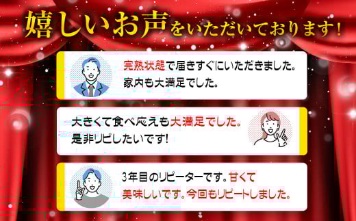 【7月29日終了】今が旬！宮崎県産完熟マンゴー3L×2個 西都市特産品宮崎マンゴー＜1.5-132＞宮崎マンゴー 果物 フルーツ 甘い