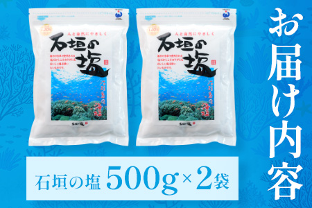 石垣の塩 500g×2 計1kg ｜ 沖縄 石垣 塩 調味料 海塩 SI-94