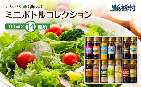 ドレッシング 100ml×14本 詰め合わせ セット 野菜村 ミニボトル コレクション 調味料 お試し 食べ比べ 調味料セット 味噌 ごま コンソメ 三ヶ日みかん レモン 塩 醤油 ぽん酢 ごまだれ 赤しそ 玉ねぎ 静岡県浜松市 浜松