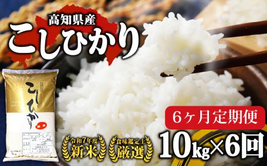 合計60kg 【 お米 定期便 】 R7年度 新米 高知県産 コシヒカリ 10kg × 6回 お米 白米 精米 米 高知県 須崎市 コシヒカリ こしひかり 高知 NPO12000-2x