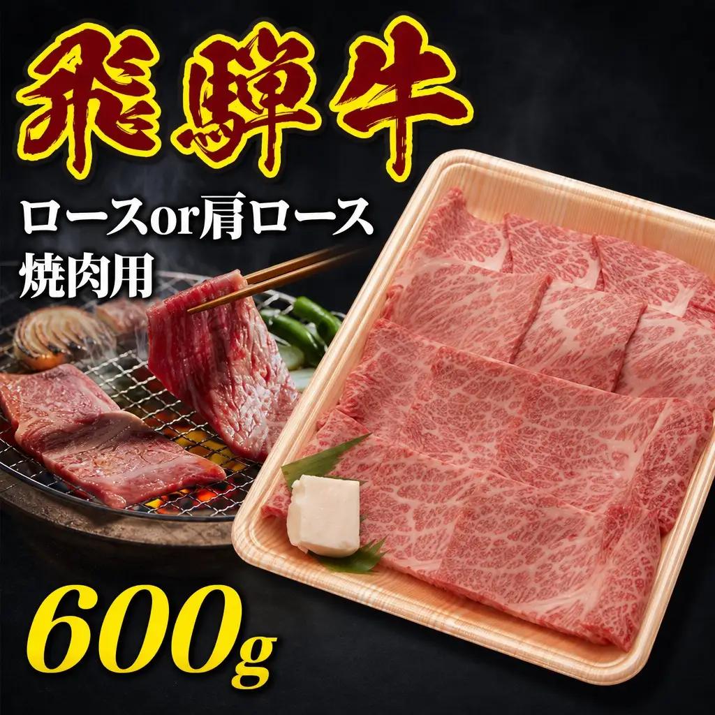 飛騨牛 焼肉用 600g 飛騨牛 FN-Limited-SP