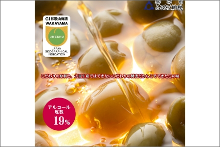 善～ZEN～ ブランデー梅酒 375ml（2本）【0951-4】