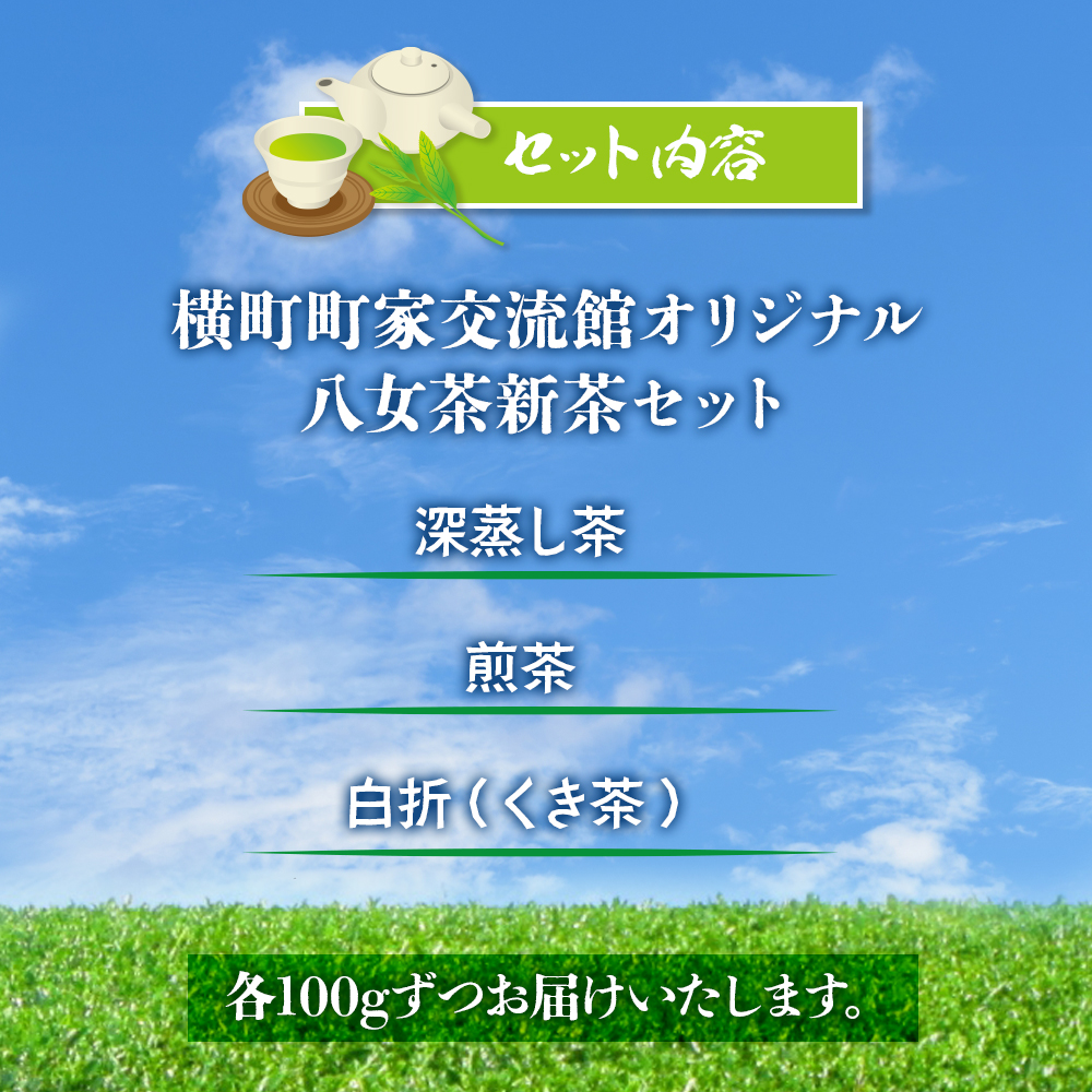 奥八女の茶葉を使った 三種の八女茶新茶セット 合計300g【2026年5月以降発送】 深蒸し茶 煎茶 白折 茎茶 日本茶 お茶 緑茶 新茶 福岡県 八女市