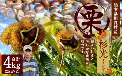 相良村産 栗 杉光 4kg 熊本県産 くり クリ 【2025年9月上旬発送予定】