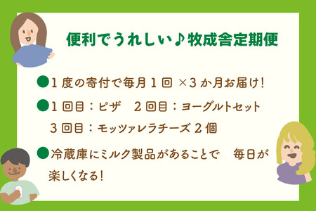 【3か月定期便】牧成舎おススメ飛騨ピザ・チーズ・ヨーグルトのバラエティセット｜ピザ DF232