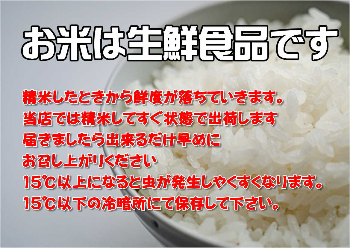 【定期便/3ヵ月】令和6年産岩手県産ひとめぼれ5kg