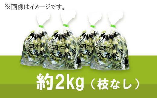 【2026年10月中旬発送】令和8年産 丹波ふるさと村の丹波黒枝豆500g×4(枝なし) 兵庫県 丹波篠山市 プレミアム枝豆 期間限定 黒枝豆 えだまめ エダマメ お取り寄せグルメ 高級 特産品 名産品 おつまみ おうち居酒屋