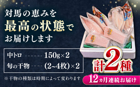 【全12回定期便】対馬産 本マグロ 中トロ 300g & 旬の干物 2種   [WAH011] マグロ まぐろ 本マグロ トロ 刺身 干物 