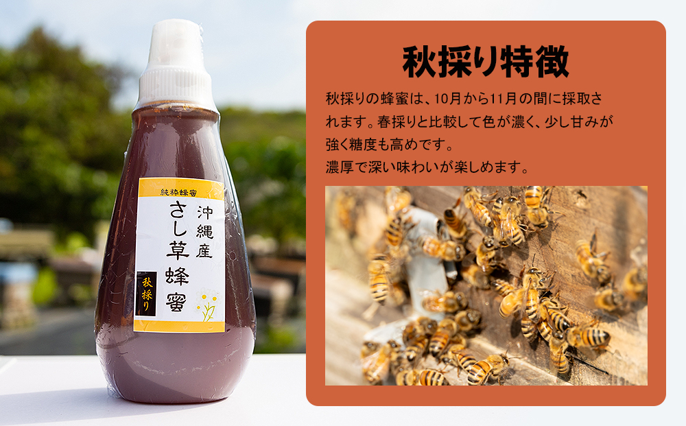 純粋蜂蜜　沖縄産　さし草蜂蜜　秋採り　500g×2本　南風原町採取