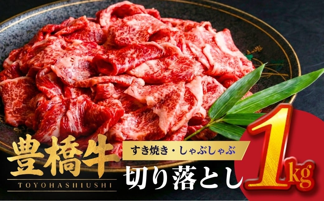 
                  【在庫限り】豊橋牛 切り落とし 1kg (200g×5パック） | 牛肉 肉 国産牛 肉 焼肉 すき焼き 不揃い 冷凍 豊橋市 すぐ届く 年内配送 年内配送できるもの 国産 牛肉 牛 スライス 小分け 大満足 赤身 肉 数量限定 肉 牛肉切り落とし 牛切り落とし 国産牛 ブランド牛
                