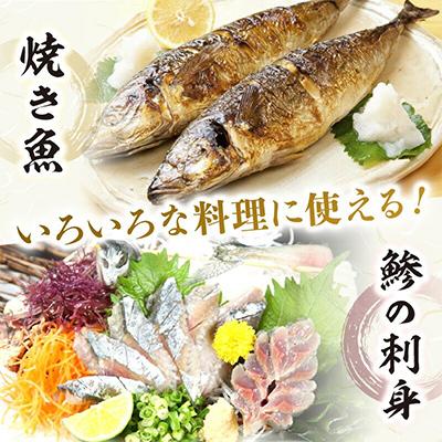 ふるさと納税 御坊市 御坊産　鮮魚セット　約2.5kg |  | 01