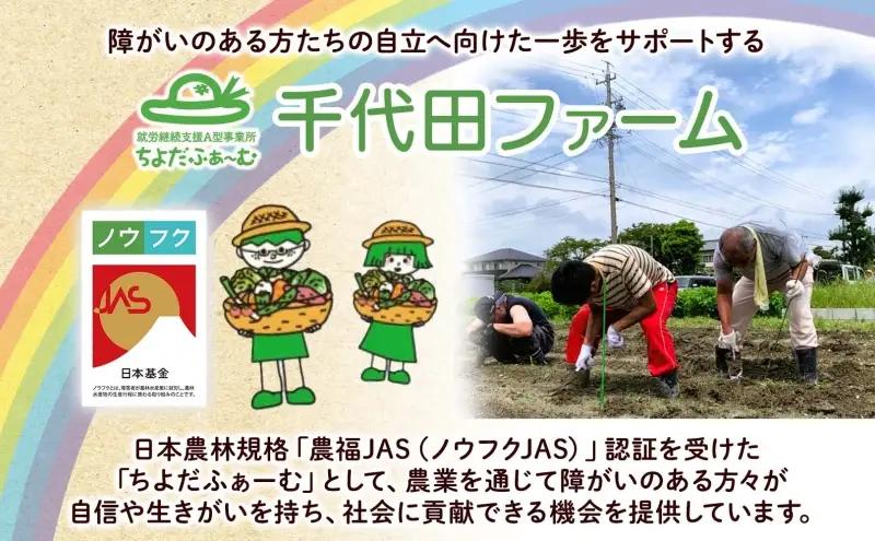 【全4回 2月・5月・8月・11月】 定期便 季節の野菜 詰め合わせ ノウフク 冷蔵便 就労支援 セット 詰合せ 農福 農福JAS 無農薬 有機JAS 有機栽培 オーガニック 野菜 新鮮 料理 旬 季