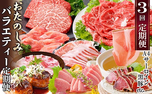 定期便(3回配送)　お楽しみバラエティー定期便 LL-6017【1499420】  _ 定期便 牛肉 お肉 かつお まぐろ 肉 ロース バラ スライス 赤身 ステーキ 切り落とし たたき 焼肉 ハンバーグ 鰹 黒豚 刺身
