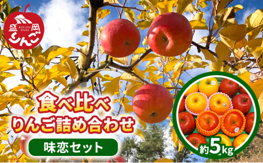【先行予約】 味恋セット 盛岡りんご 5種 5kg 12月発送 サンふじ こうこう はるか シナノゴールド こうとく 食べ比べ 詰め合わせ セット りんご 林檎 リンゴ 果物 フルーツ 旬の果物 国産 産地直送 くだもの お取り寄せ デザート 特産品 名産品 ご当地 朝島観光りんご園 朝食 おやつ 岩手県 盛岡市 東北 岩手 盛岡 朝島観光りんご園 asashima005
