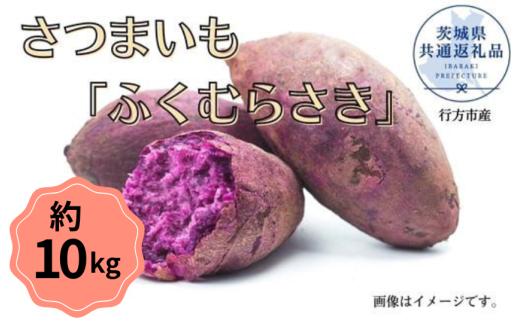 【2025年産】さつまいも「ふくむらさき」約10kg（茨城県共通返礼品／行方市産）