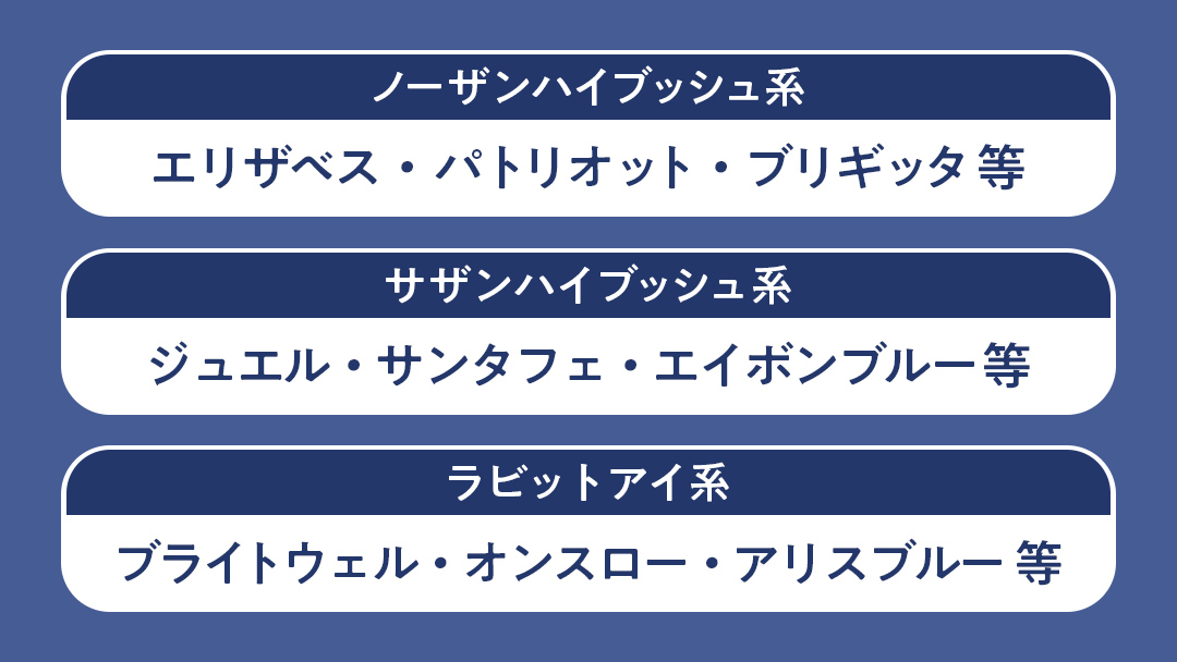 【2025年7月中旬から発送開始】 茨城県産 冷凍 ブルーベリー 合計 1kg (250g×4袋) 多品種 果実 果物 くだもの フルーツ おやつ ブルーベリー ベリー ジャム 小分け [DZ018s
