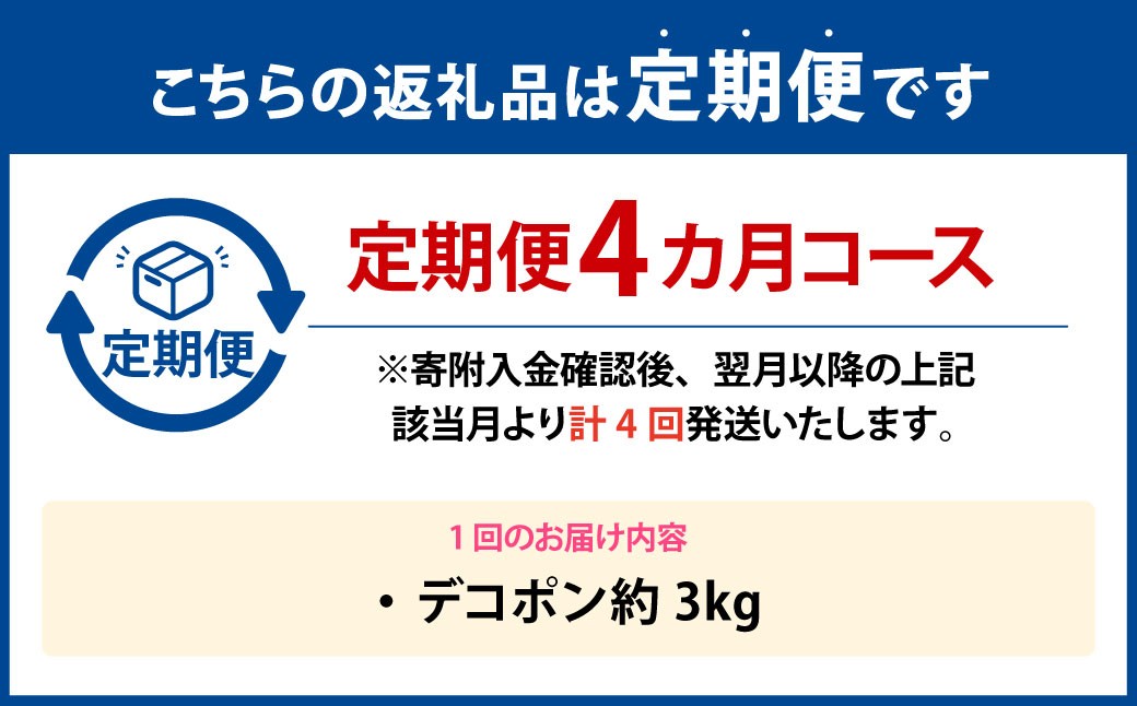 【年4回定期便】デコポン約3kg（8～12玉入り）×4回