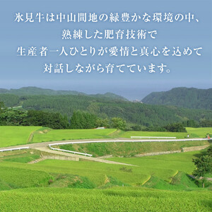 お肉屋さんの氷見牛カレー３個入