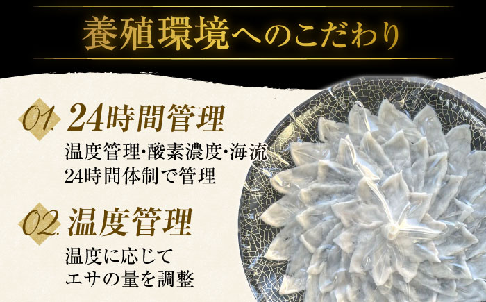 【先行予約】１月中旬発送開始 高級とらふぐをご家庭で！おうごんとらふぐ大皿刺身 合計160g（80g×2）【松永水産】 [KAB225]