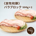 【ふるさと納税】≪放牧和豚≫バラブロック 500g×2 【合計1kg】 - 国産豚肉 豚バラ 冷凍 バラ肉 ばら 三枚肉 冷凍 パイオニアポーク 豚ブロック ブロック肉 ブロック 塊肉 かたまり肉 豚肉かたまり 豚肉 豚 こだわり 送料無料 【宮崎県木城町】