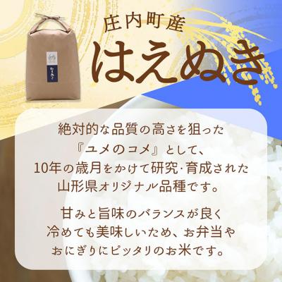 ふるさと納税 庄内町 【新米受付】吉祥ファーム はえぬき 5kg【10月より順次発送】 |  | 01