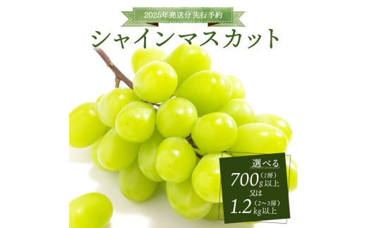 
            ＜2025年発送分 先行予約＞シャインマスカット 1房 700g以上又は2～3房 1.2kg以上【025-a020】
          
