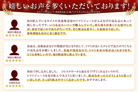 【ふるなびWEEK対象】カゴメトマトジュース 食塩無添加 1L 紙パック 6本入　トマトジュース [h172]