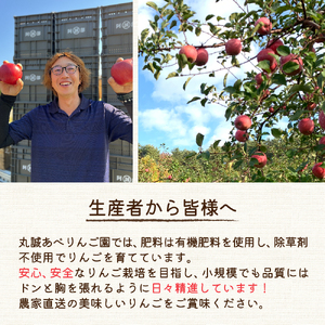 りんご　サンふじ約3kg訳あり1月【2025年1月前半発送】青森りんご3kg 五所川原産りんご さんふじりんご