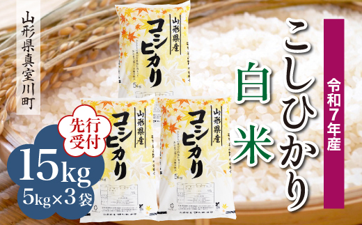 ＜令和7年産米先行受付＞ 真室川町産 こしひかり 【白米】 15kg （5kg×3袋）＜配送時期指定可＞