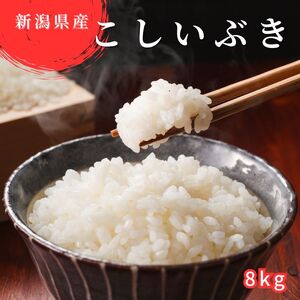 新潟県産 令和6年産 こしいぶき  8kg 精米 したてをお届け 新潟のど真ん中 見附市 米 お米 白米 国産 ごはん ご飯