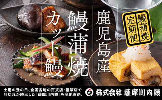 【3カ月定期便】国産うなぎ蒲焼カット（約75ｇ×4袋×3回）